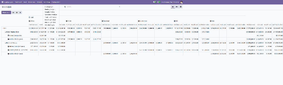 Pivot and graph reporting