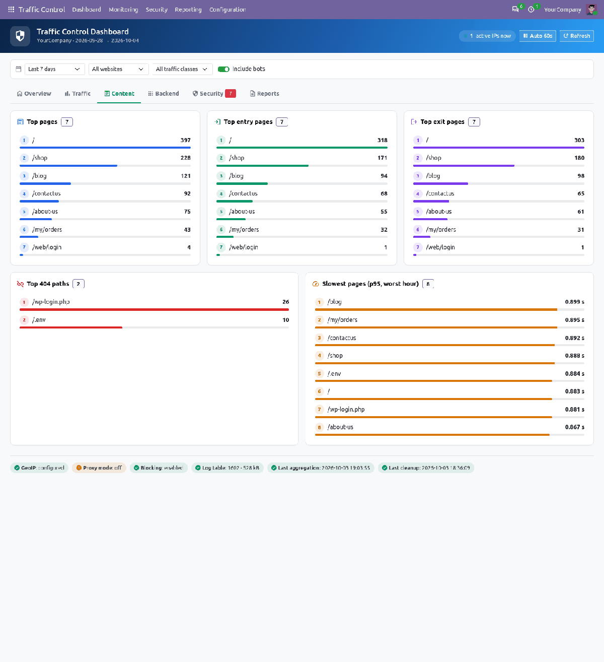 Dashboard content tab with top pages, entry pages, exit pages, 404 paths and slowest pages